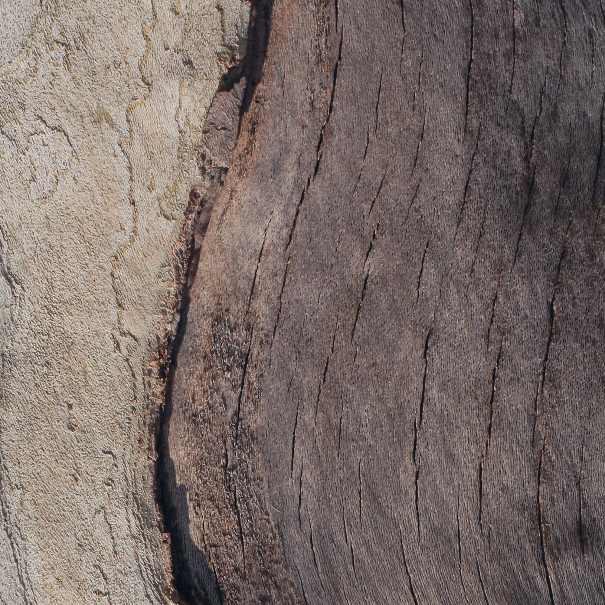 Insight LI