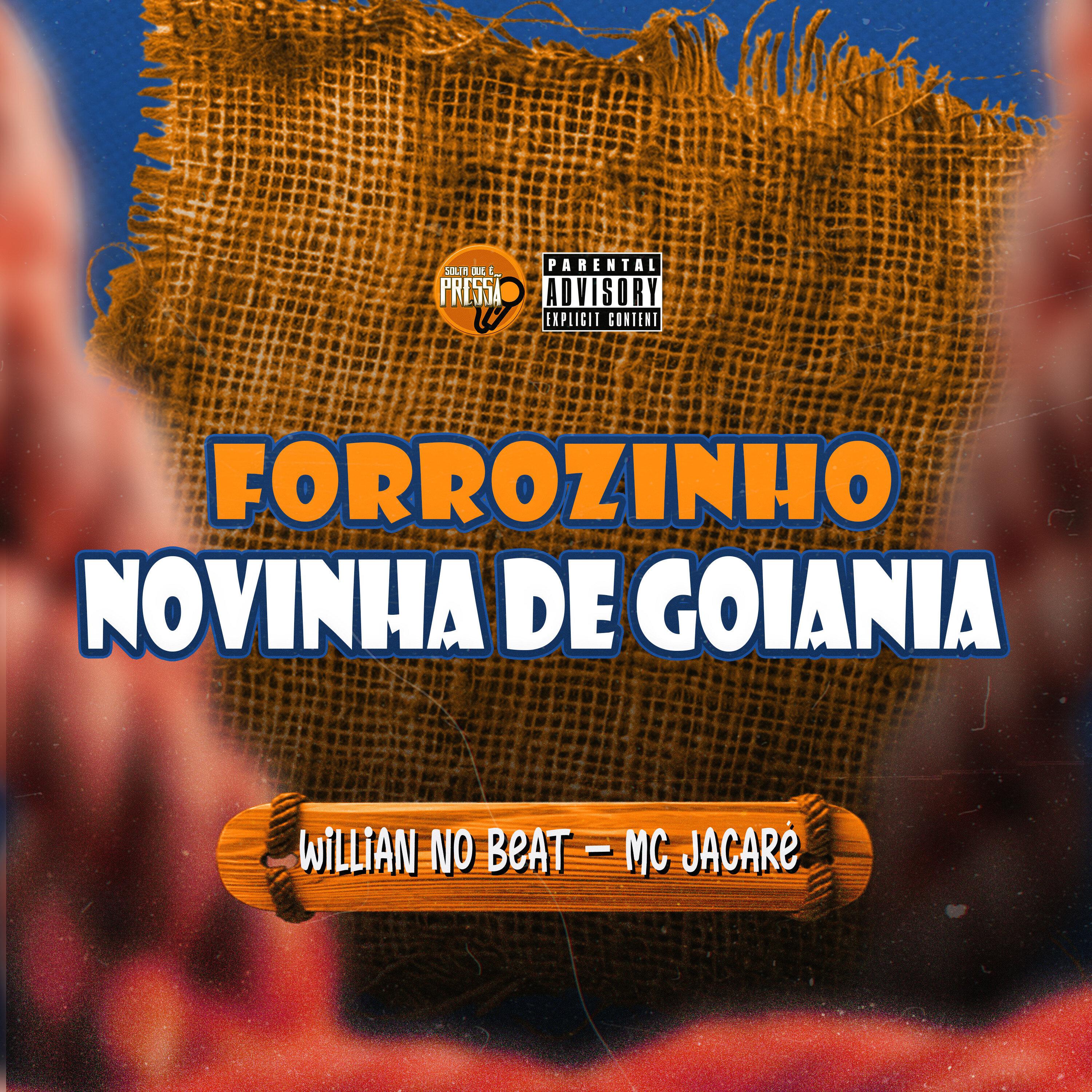 Willian No Beat - Forrozinho Novinha de Goiania