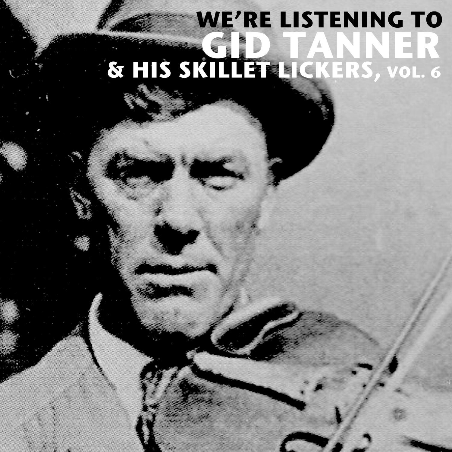 We're Listening to Gid Tanner & His Skillet Lickers, Vol. 6