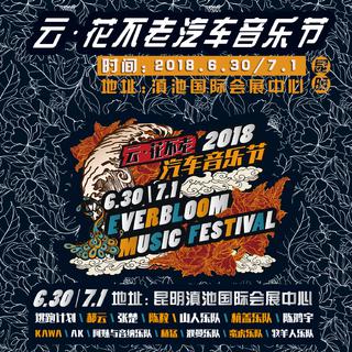 云花不老汽车音乐节我想象的歌单