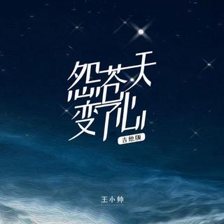 怨苍天变了心-王小帅(吉他版)