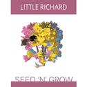 Seed 'N' Grow专辑
