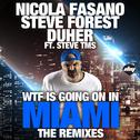 Wtf Is Going On In Miami (the Remixes)专辑