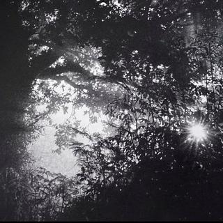 六百六十六失恋听这些跳了直接