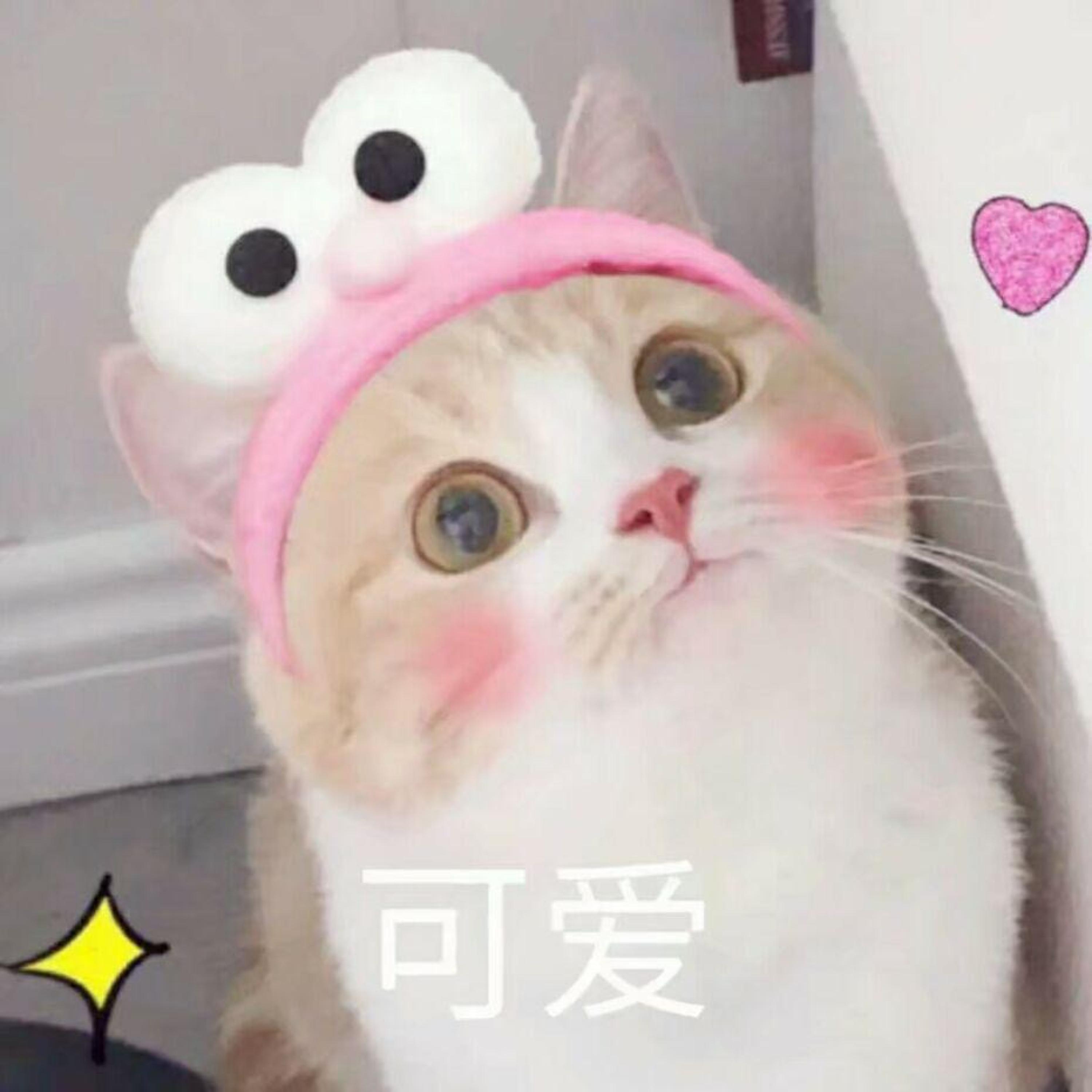 想要你知道