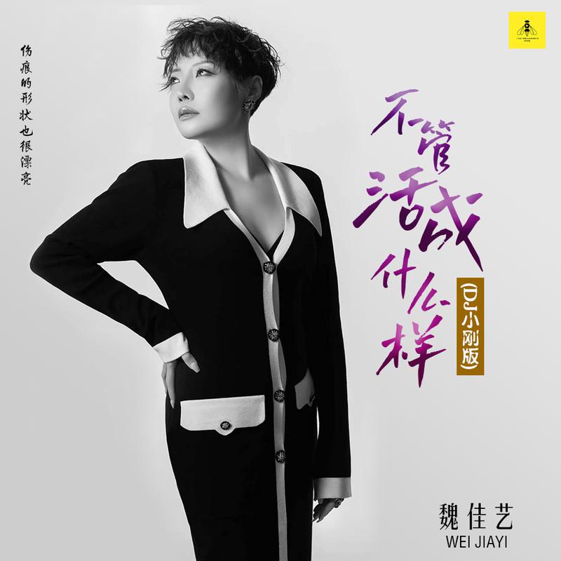 魏佳艺歌曲封面
