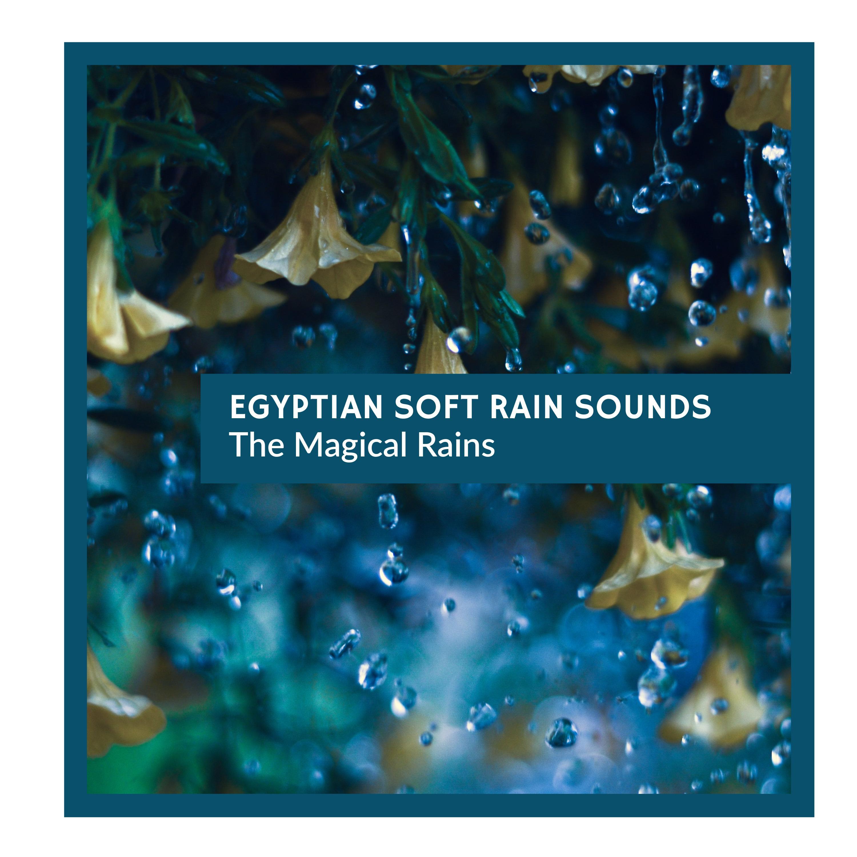 Misty Rain Drops Sound Library - Prey Insects