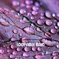 15 Loopable Rain and Nature Sounds for Sleep - Zen Rain Sounds, Meditation Rain Sounds