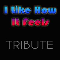 I Like It - Enrique Iglesias feat Pitbull ( 320kbps Official Instrumental )