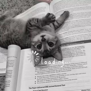 你说雨后重逢 我便决心走出这个雨季