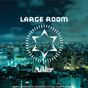 Large Room(Bigroom/Electro House）专辑