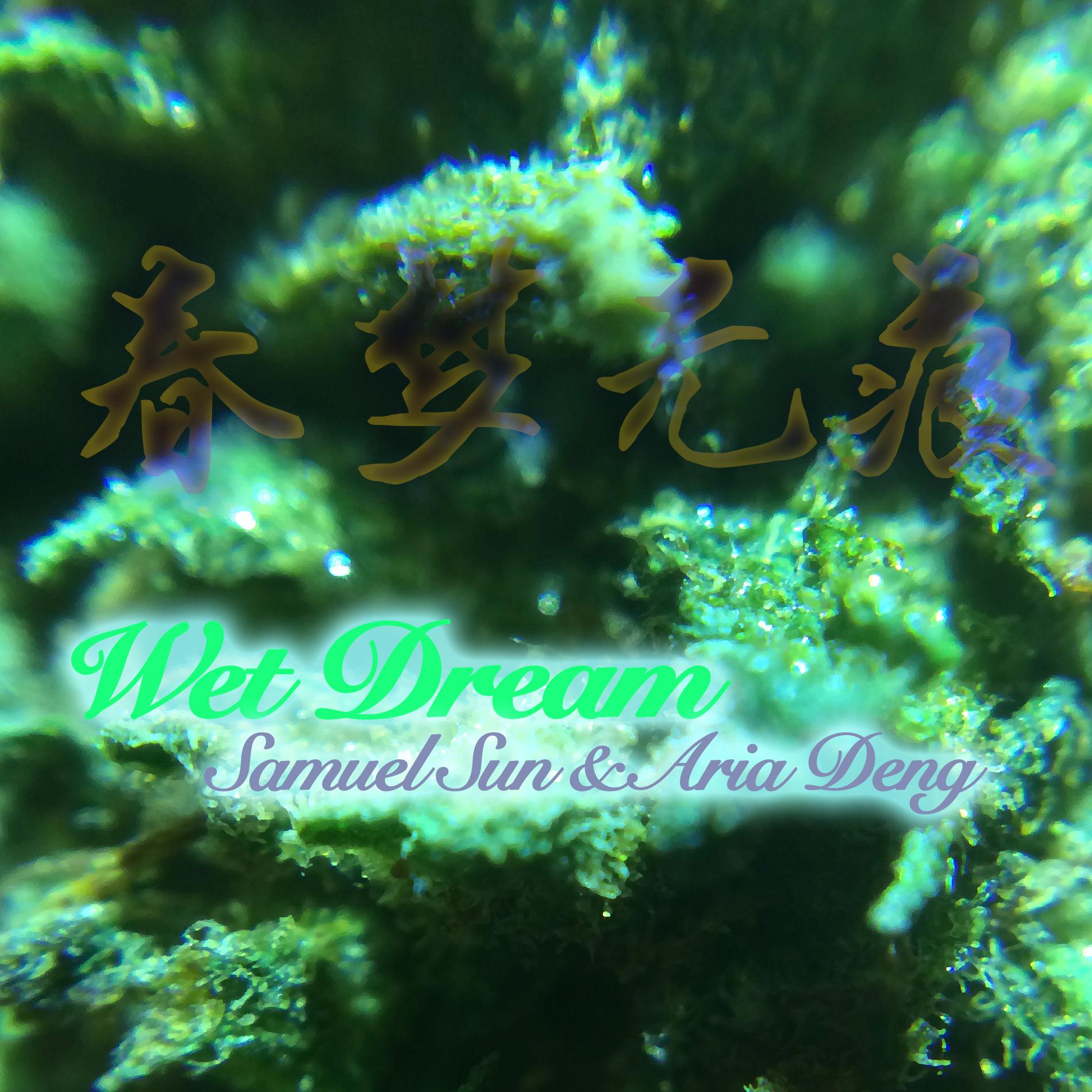 Wet Dream专辑