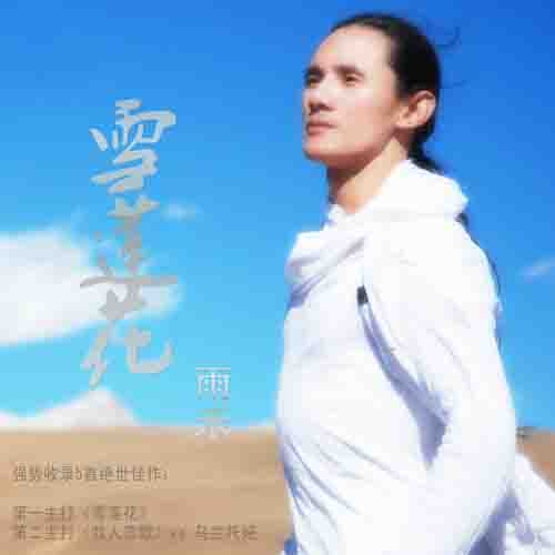 雪莲花