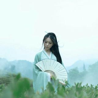 亦曲亦诗亦如歌(非纯古诗词)