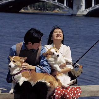 人生海海 | 祝你有帆也有岸
