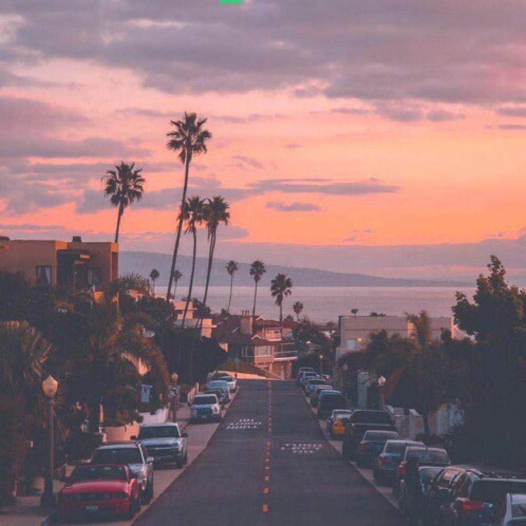 Dreamland