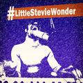 #littlesteviewonder