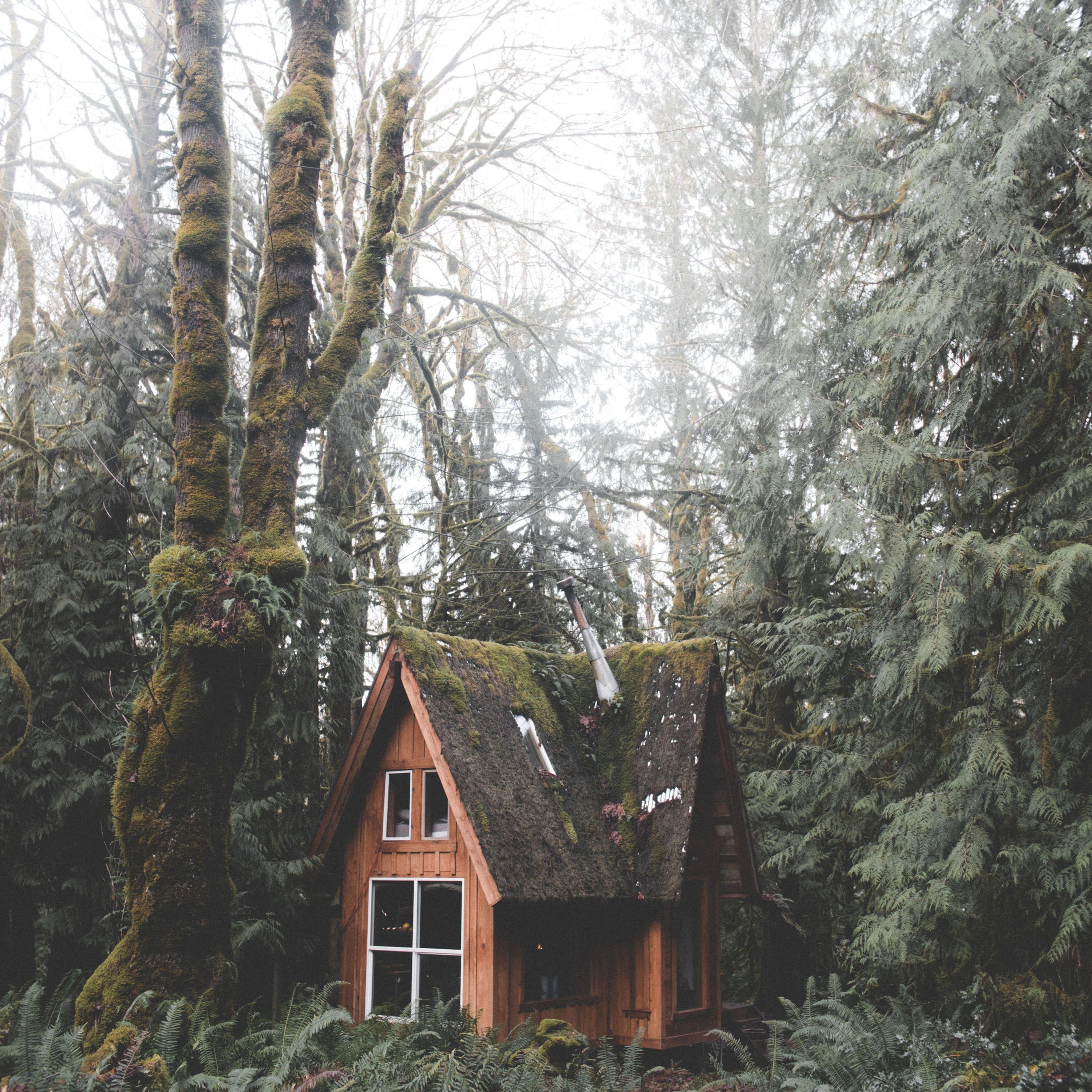 Wonderful Playlist | Meditation