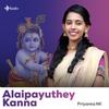 Priyanka NK - Alaipayuthey Kanna
