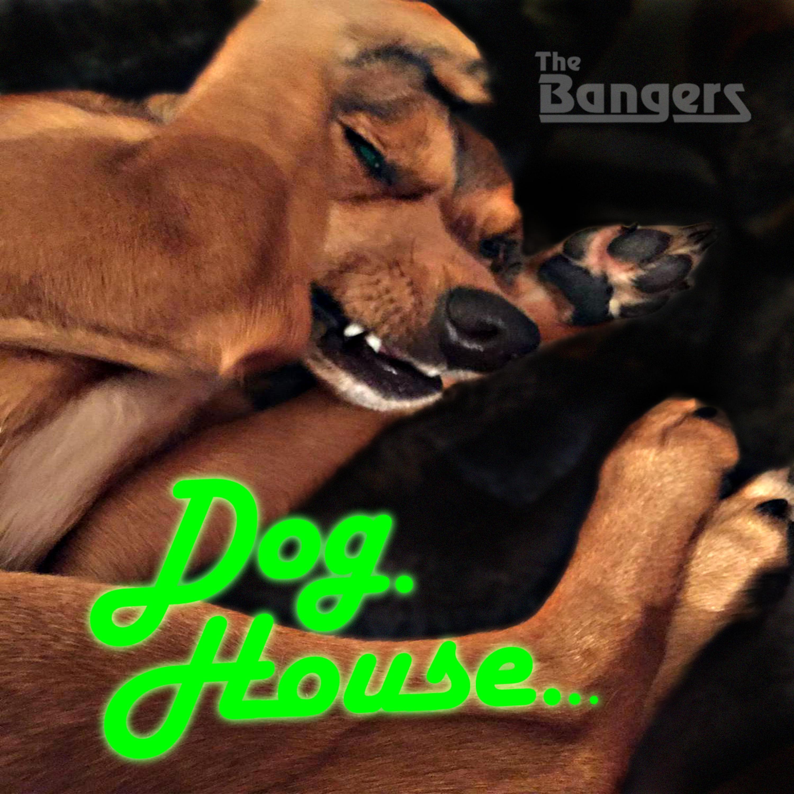 Doghouse