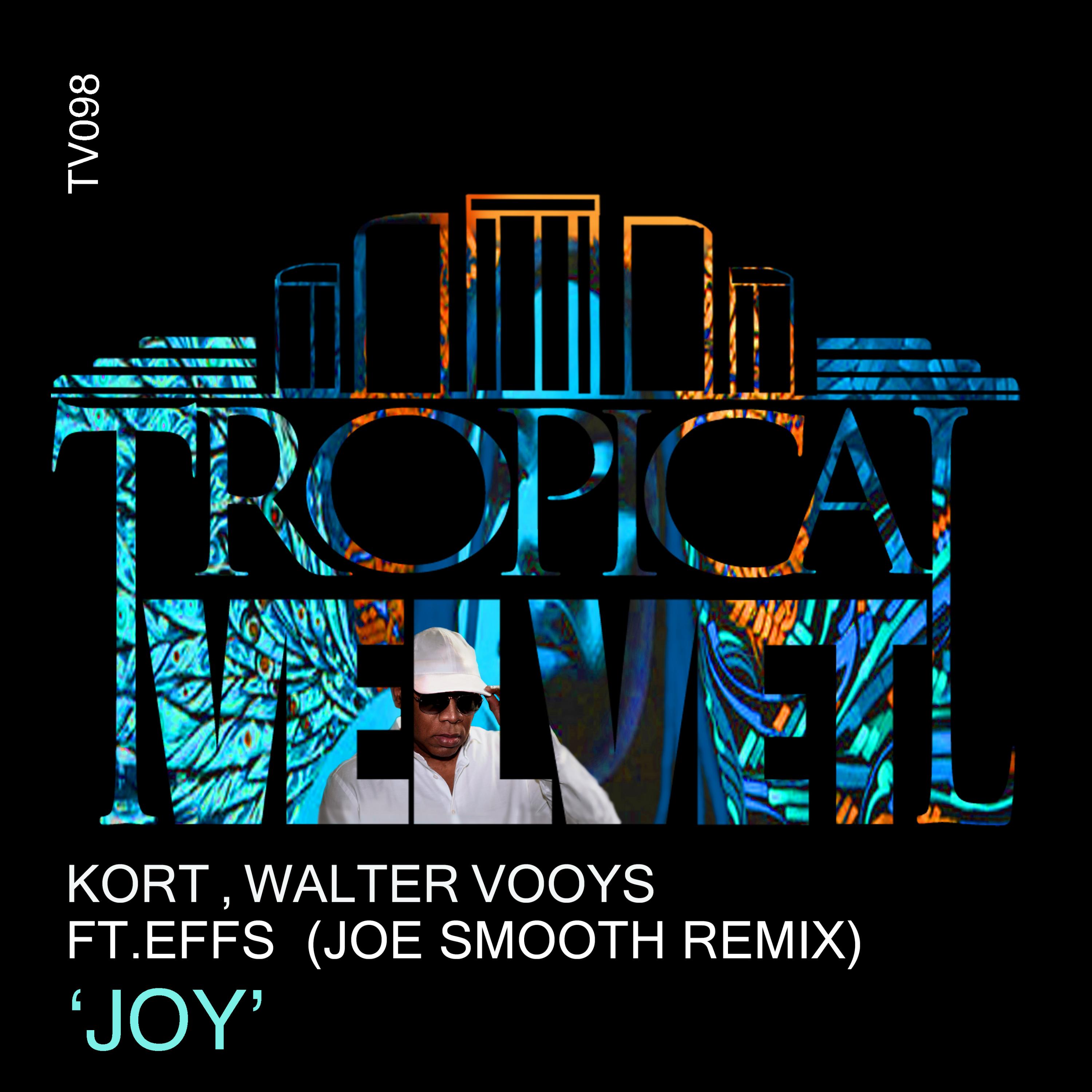 Joy (Joe Smooth Remix)