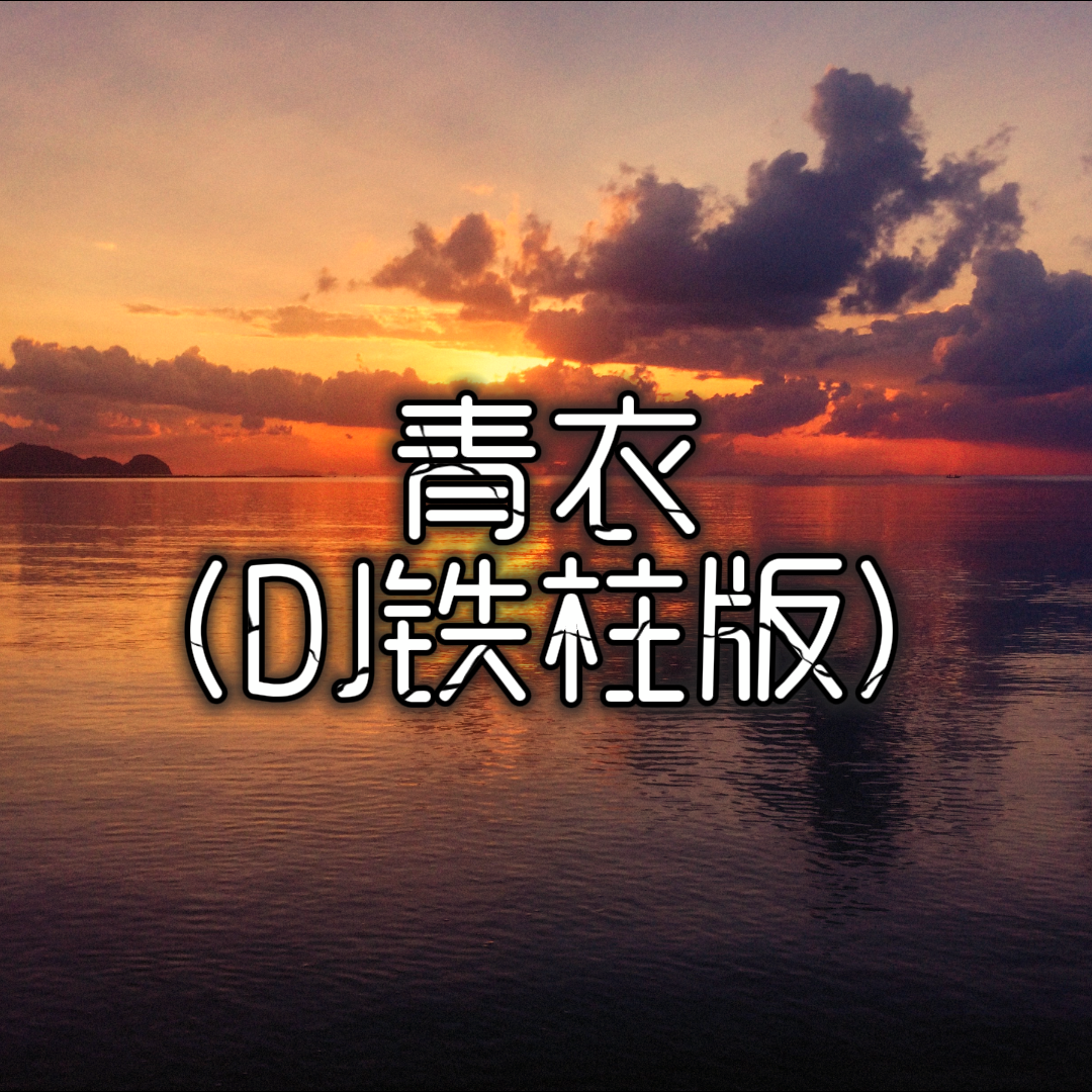 青衣（DJ铁柱版）