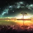 Starry Sea