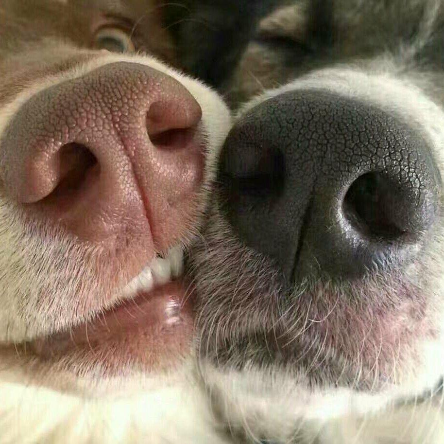 人都有各自的月亮 | 在线播放 | 网易云音乐