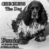 Fenris - Checkers The Dog