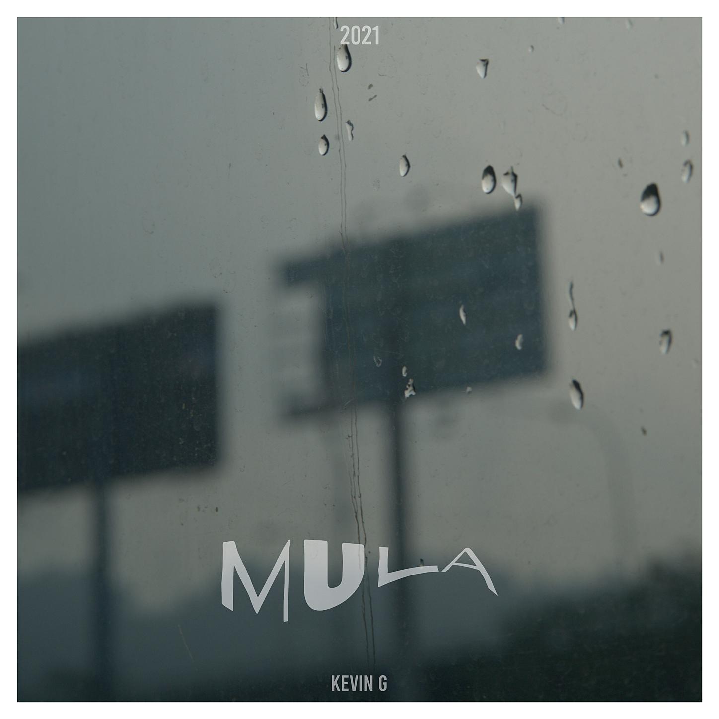 Mula
