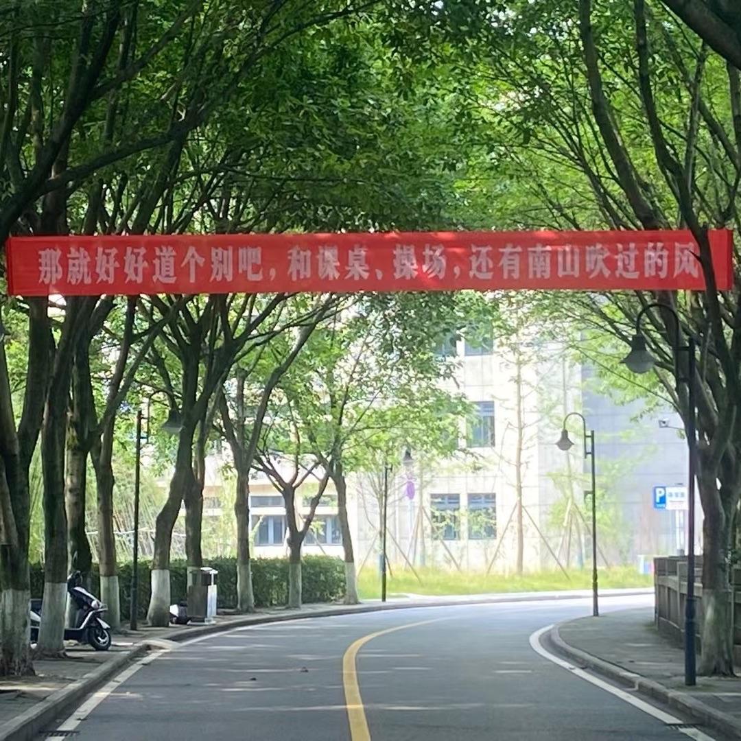 没有人会在南山等你
