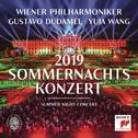 Sommernachtskonzert 2019 / Summer Night Concert 2019专辑