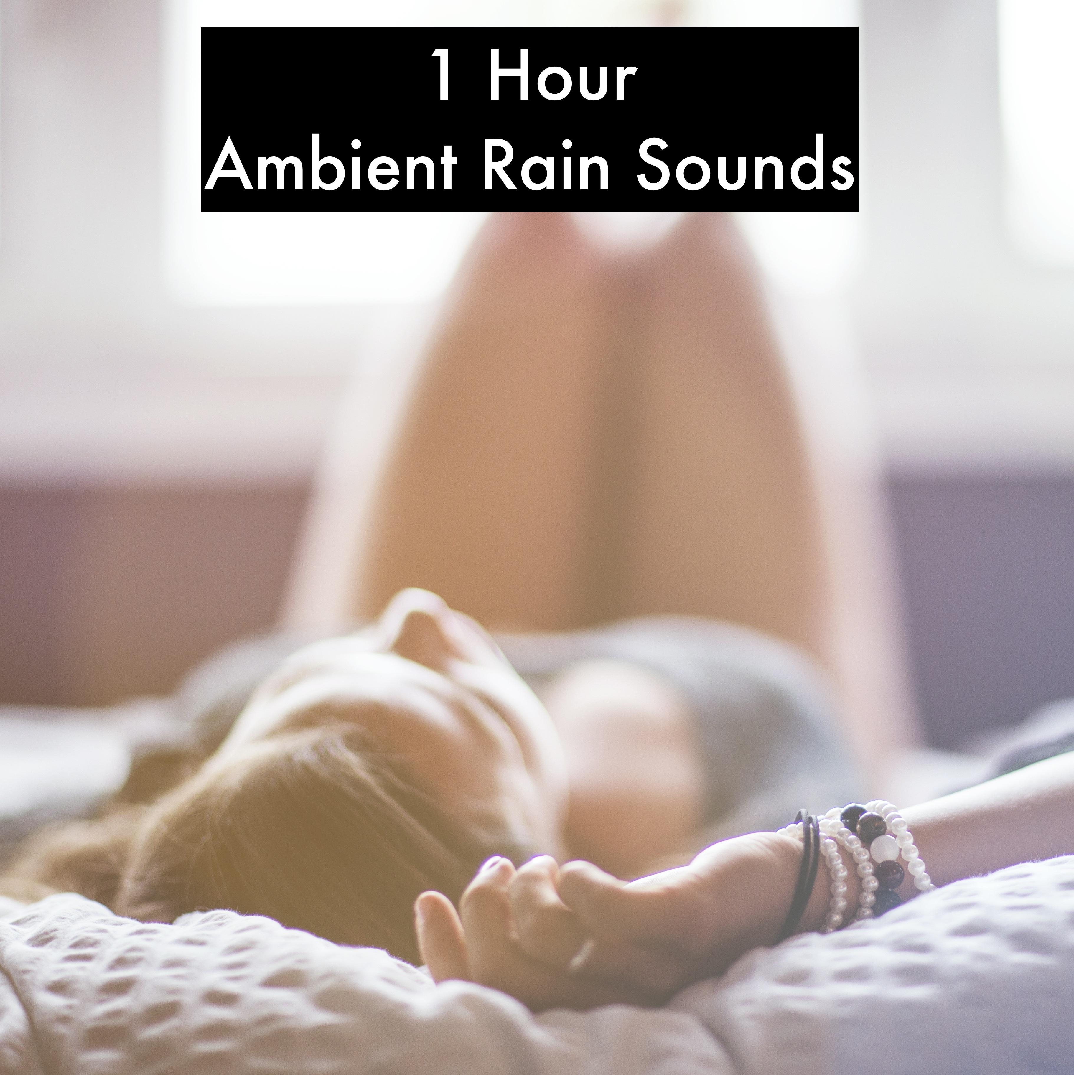 1 Hour Ambient Rain Sounds from Around the World - Loopable专辑