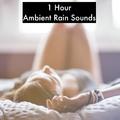 1 Hour Ambient Rain Sounds from Around the World - Loopable