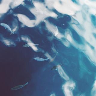 轻伤纯乐，愿深夜有你。