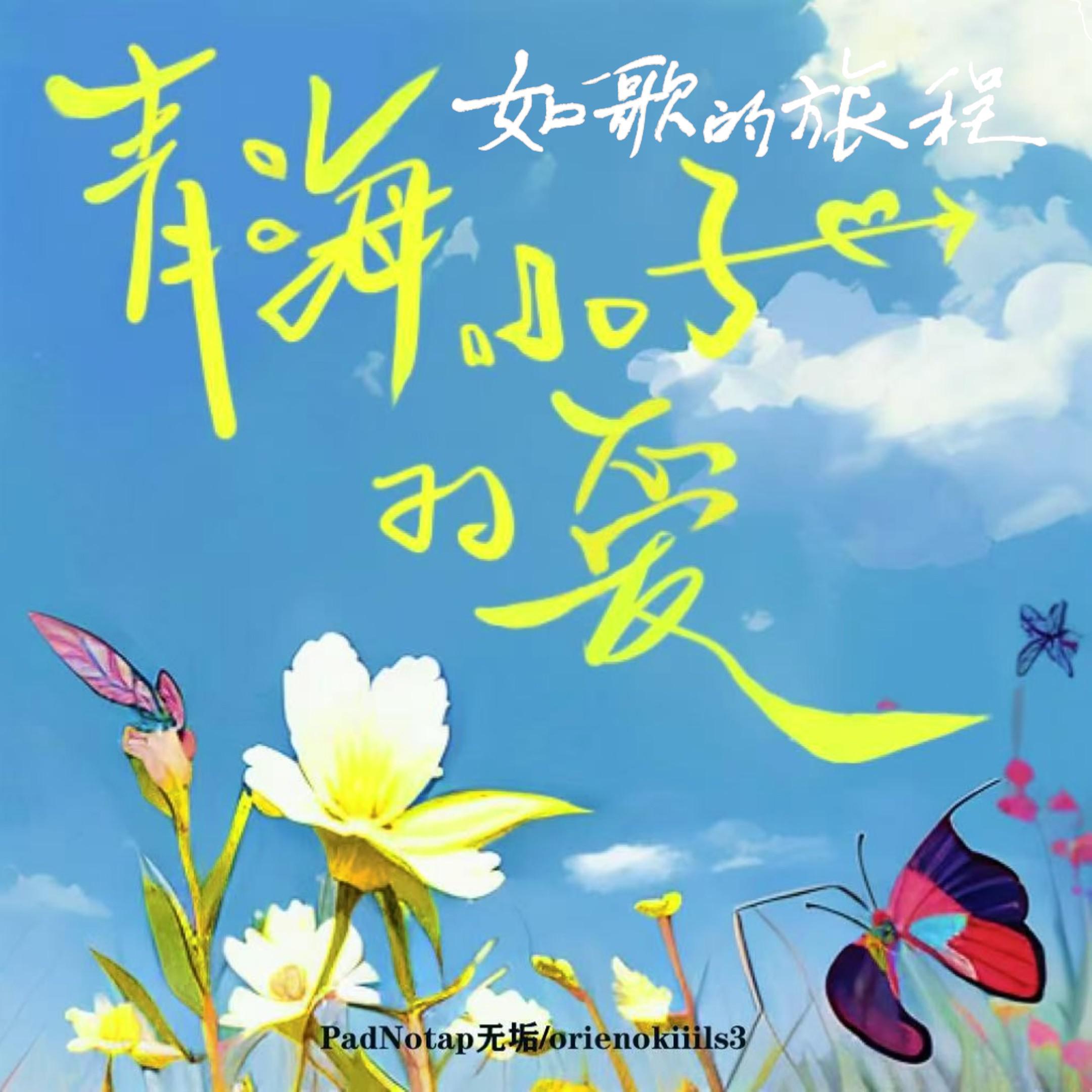 青海小子的爱专辑