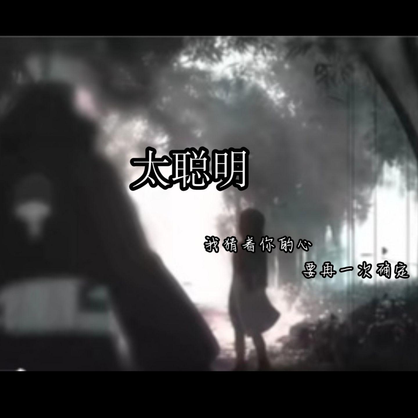 太聪明