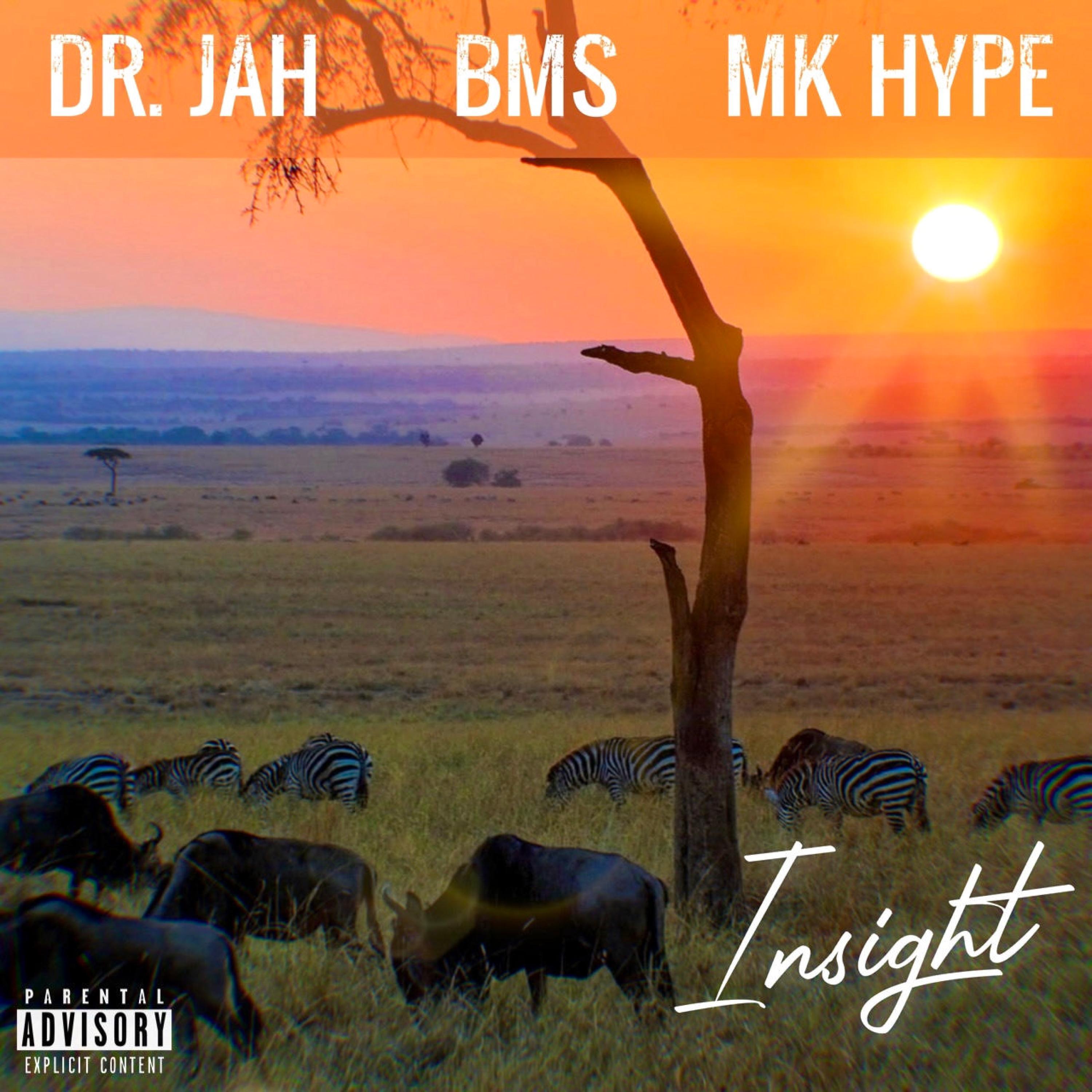 Insight (feat. Dr. Jah & MK Hype)