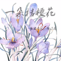 一朵桔梗花