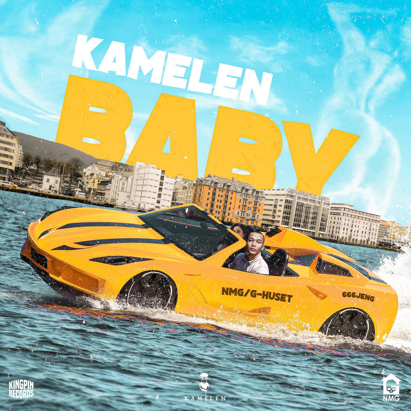 Kamelen - Baby