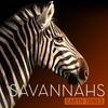 Earth Tones: Savannahs专辑