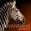 Earth Tones: Savannahs