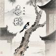 喜鹊