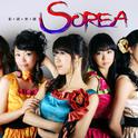 Sorea