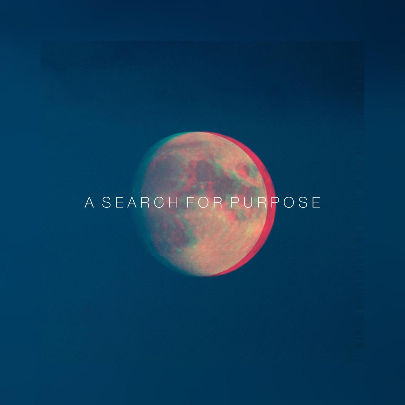 A Search for Purpose
