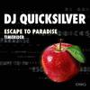 DJ Quicksilver - Timerider (Club Mix)