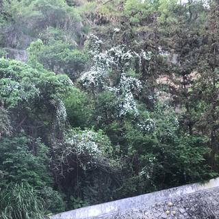 被绿的心理活动||去TM的爱情