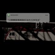 岁月间奏版