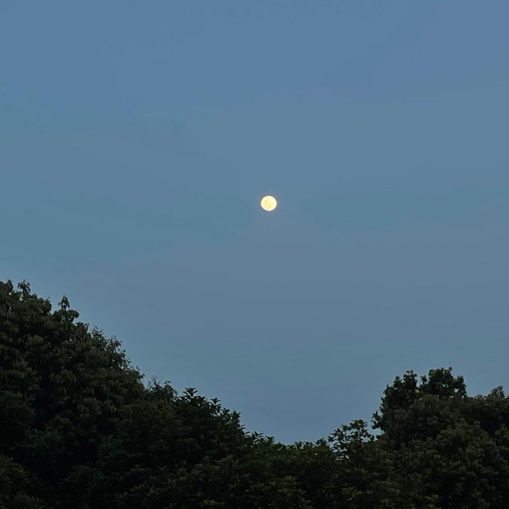 纯音乐|你是落日弥漫的橘，天边透亮的星