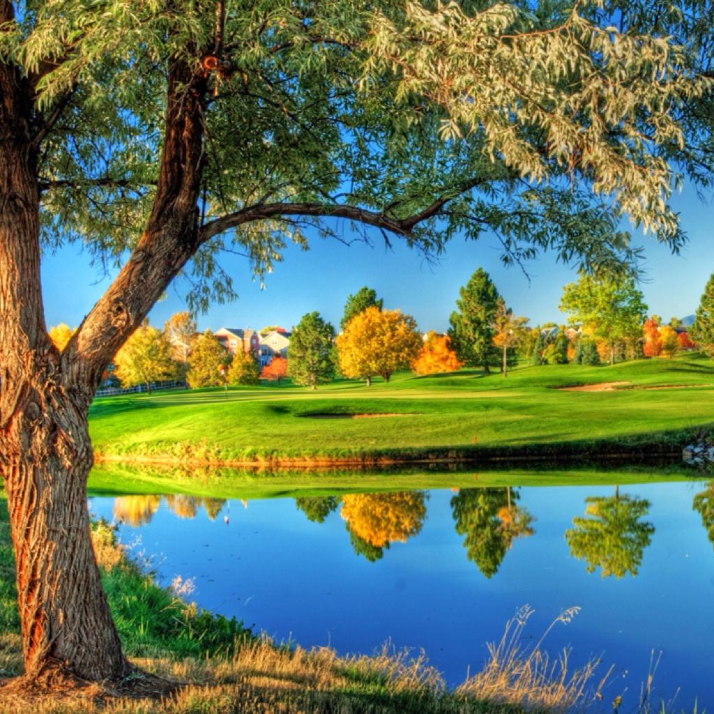 聆听大自然的咏唱 | 在线播放 | 网易云音乐